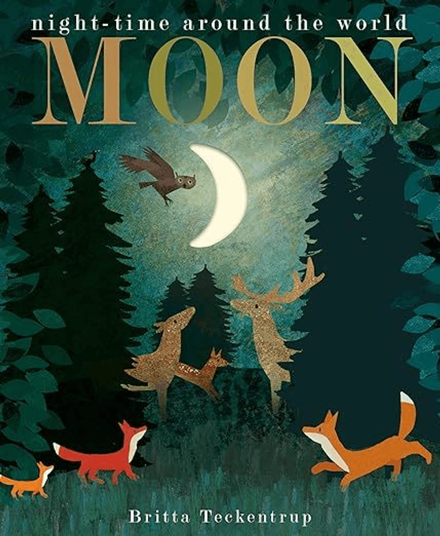 Moon: night-time around the world (Peek-through Nature) (Hardback)