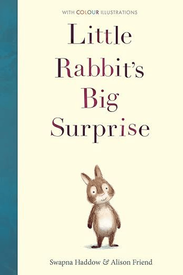 Little Rabbit's Big Surprise (Hardback)