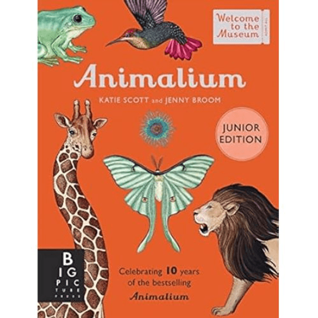 Animalium Junior Edition
