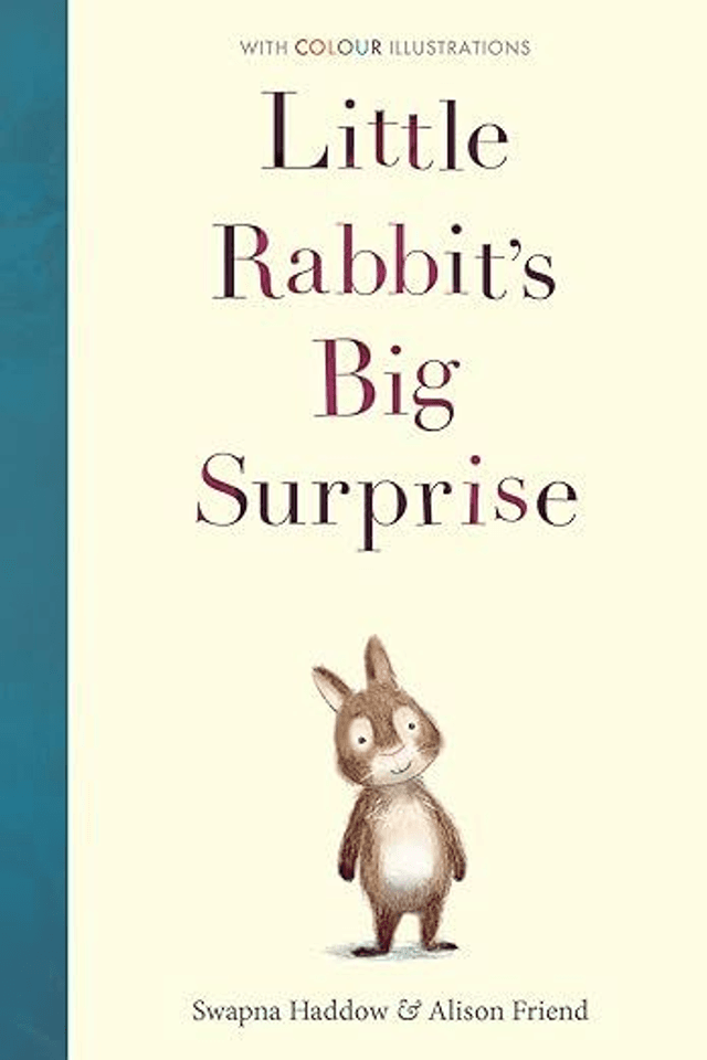 Little Rabbit&#039;s Big Surprise (Hardback)